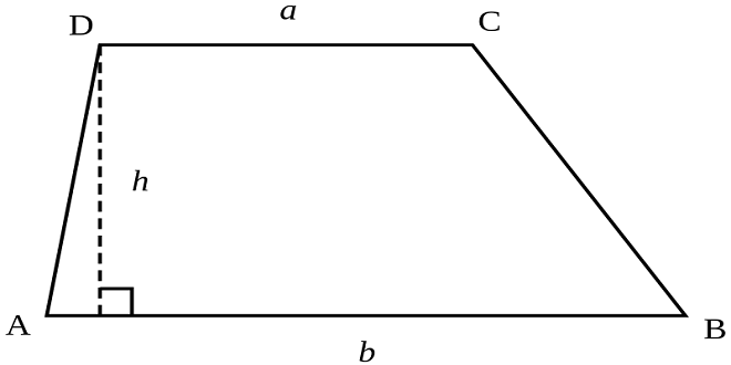 Things You Need To Know About A Trapezium