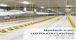 What Factors to Consider for Choosing Poultry Lights